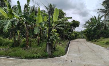 1,364 sqm lot for sale in Brgy Talon Amadeo Cavite