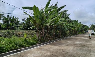 1,364 sqm lot for sale in Brgy Talon Amadeo Cavite