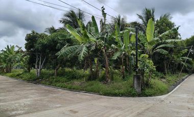 1,364 sqm lot for sale in Brgy Talon Amadeo Cavite