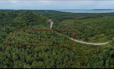 3.1 Hectare Lot Overlooking the Bay