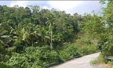 3.1 Hectare Lot Overlooking the Bay