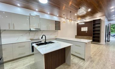 FOR SALE BRAND NEW ELEGANT TWO STOREY HOUSE IN PAMPANGA NEAR OUR LADY OF FATIMA
