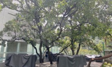 Edificio Basalto Departamento en venta en Santa Fe Cuajimalpa