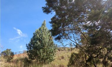 LLO-253-Casa Campestre-Guarne-Santa Elena-V.La Palma-Tres Puertas.