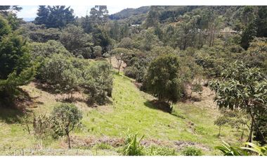 LLO-253-Casa Campestre-Guarne-Santa Elena-V.La Palma-Tres Puertas.