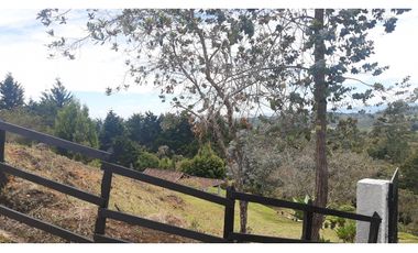 LLO-253-Casa Campestre-Guarne-Santa Elena-V.La Palma-Tres Puertas.