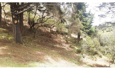 LLO-253-Casa Campestre-Guarne-Santa Elena-V.La Palma-Tres Puertas.