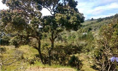 LLO-253-Casa Campestre-Guarne-Santa Elena-V.La Palma-Tres Puertas.
