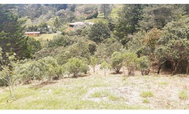 LLO-253-Casa Campestre-Guarne-Santa Elena-V.La Palma-Tres Puertas.