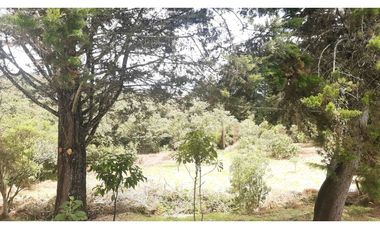 LLO-253-Casa Campestre-Guarne-Santa Elena-V.La Palma-Tres Puertas.