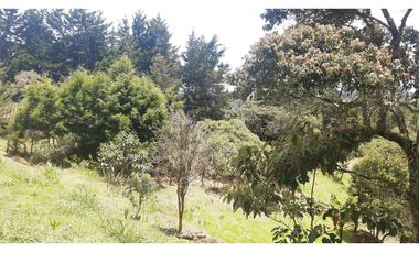 LLO-253-Casa Campestre-Guarne-Santa Elena-V.La Palma-Tres Puertas.