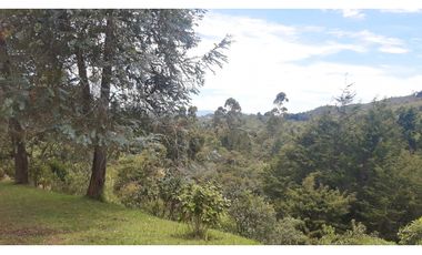 LLO-253-Casa Campestre-Guarne-Santa Elena-V.La Palma-Tres Puertas.