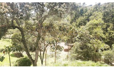 LLO-253-Casa Campestre-Guarne-Santa Elena-V.La Palma-Tres Puertas.