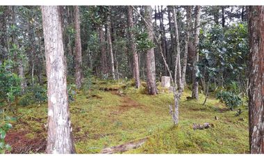 LCG-330-Casa Campestre-Santa Elena-V.Central -Parcelación Santa Teresa