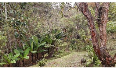 LCG-330-Casa Campestre-Santa Elena-V.Central -Parcelación Santa Teresa