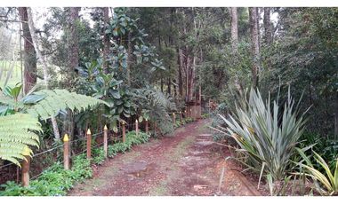 LCG-330-Casa Campestre-Santa Elena-V.Central -Parcelación Santa Teresa