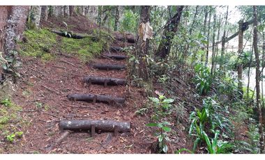 LCG-330-Casa Campestre-Santa Elena-V.Central -Parcelación Santa Teresa