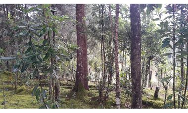 LCG-330-Casa Campestre-Santa Elena-V.Central -Parcelación Santa Teresa