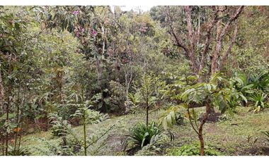 LCG-330-Casa Campestre-Santa Elena-V.Central -Parcelación Santa Teresa