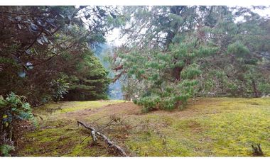 ALB-515-Casa Campestre-Inmueble Comercial-Santa Elena-V.El Placer