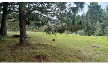 ALB-515-Casa Campestre-Inmueble Comercial-Santa Elena-V.El Placer