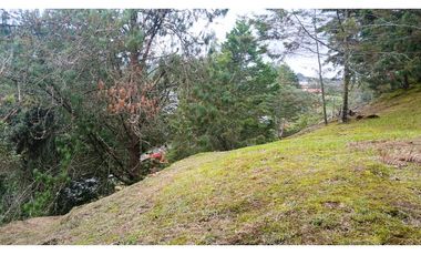ALB-515-Casa Campestre-Inmueble Comercial-Santa Elena-V.El Placer