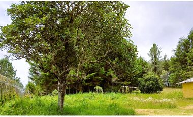 SMH-502-Condominio 4 Casas-Santa Elena-V.El Llano-S.Acueducto
