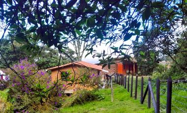 CT-494-Casa Campestre-Guarne-T.Santa Elena-V.San Ignacio-S.Penjamo