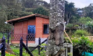 CT-494-Casa Campestre-Guarne-T.Santa Elena-V.San Ignacio-S.Penjamo