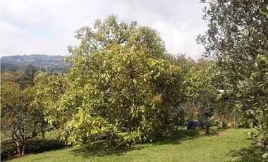 TM-450-Casa Campestre-Santa Elena-Vereda El Cerro