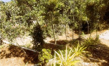 CAG-481-Casa Campestre-Santa Elena-V.El Plan-S.La Morena