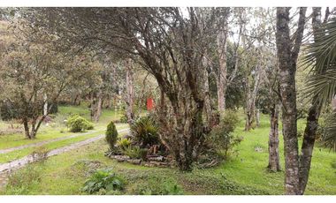 OA-384-Casa Campestre-Santa Elena-V.El Plan-S.Pueblo Nuevo
