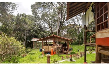 OA-384-Casa Campestre-Santa Elena-V.El Plan-S.Pueblo Nuevo