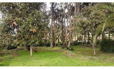 OA-384-Casa Campestre-Santa Elena-V.El Plan-S.Pueblo Nuevo