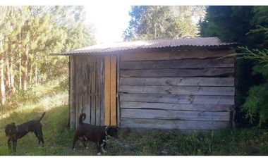 SGE-432-Casa Campestre-Santa Elena-V.Mazo-Sector La Patiño