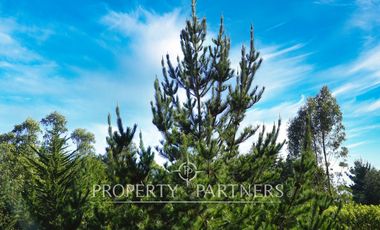 Pichilemu, Preciosa Casa familiar rodeada de naturaleza