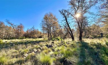 Casa en Venta en Caracoles - Malalcahuello