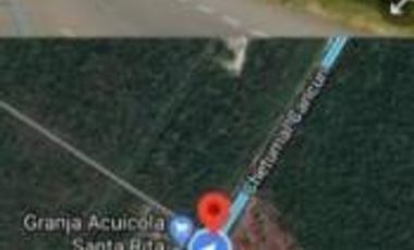 Terreno en venta de 96 hectáreas sobre carretera federal en Bacalar, ideal para desarrollo habitacional o turístico