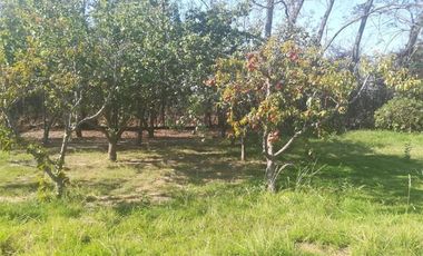 AMPLICA CASA - PARCELA EN CONDOMINIO  EN PAINE