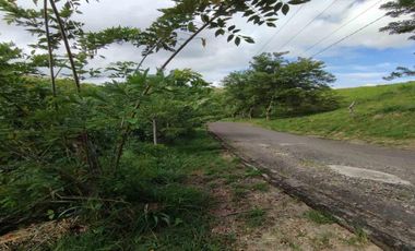 LOTE EN VENTA EN CERRITOS/PEREIRA