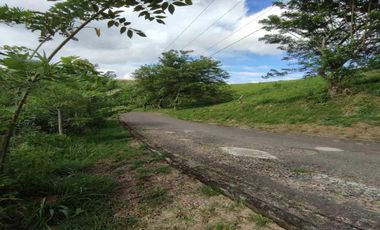 LOTE EN VENTA EN CERRITOS/PEREIRA