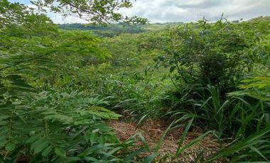 LOTE EN VENTA EN CERRITOS/PEREIRA