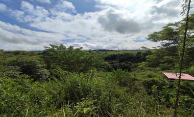 LOTE EN VENTA EN CERRITOS/PEREIRA