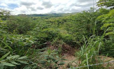 LOTE EN VENTA EN CERRITOS/PEREIRA