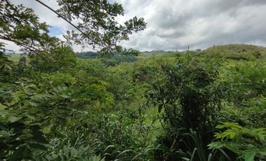 LOTE EN VENTA EN CERRITOS/PEREIRA