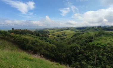 LOTE EN VENTA EN CERRITOS/PEREIRA