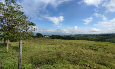 LOTE EN VENTA EN CERRITOS/PEREIRA