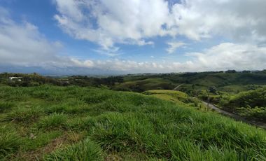 LOTE EN VENTA EN CERRITOS/PEREIRA