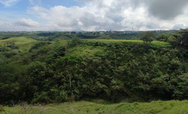 LOTE EN VENTA EN CERRITOS/PEREIRA