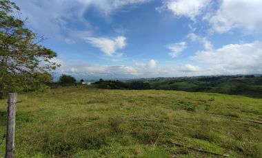 LOTE EN VENTA EN CERRITOS/PEREIRA